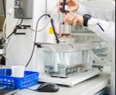 Biotechnologia - Lublin