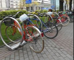 Ochrona środowiska - Bydgoszcz