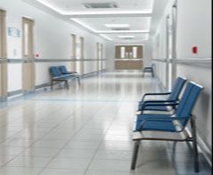 Kierunek Lekarski - Szczecin