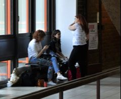 Ochrona środowiska - Szczecin