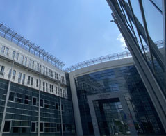 Pedagogika - Gdańsk