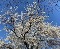 Ochrona środowiska - Warszawa