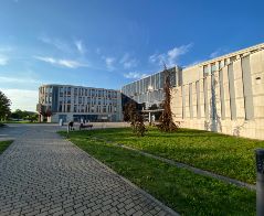 Zarządzanie - Kraków