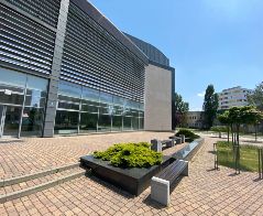 Fizjoterapia - Poznań