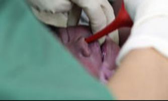 Położnictwo - Łódź