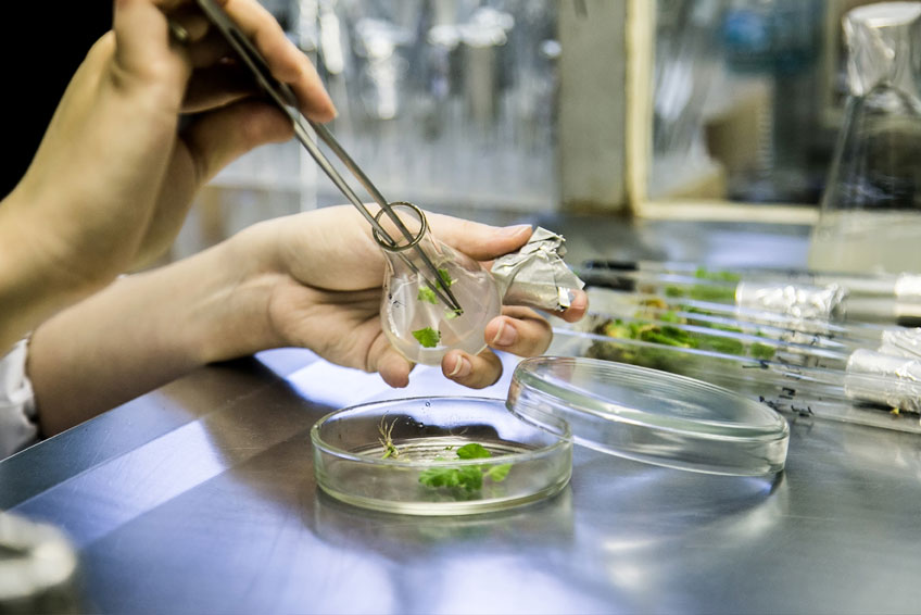 Ile trwają studia na kierunku biotechnologia w Lublinie?