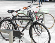 Studia sportowe Toruń