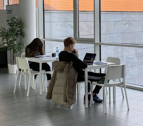 Kierunki studiów w Zielonej Górze