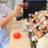 Studia biologiczne i przyrodnicze Olsztyn