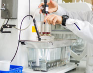 Studia rolnicze Radom