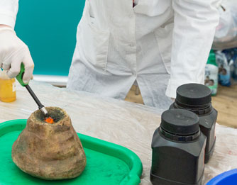 Studia biologiczne i przyrodnicze Zielona Góra