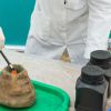 Studia biologiczne i przyrodnicze Zielona Góra