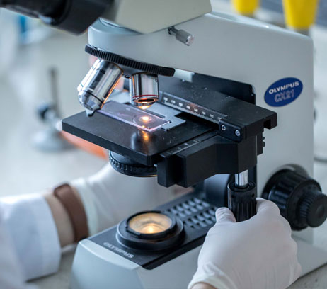 Kierunki studiów w Bydgoszczy