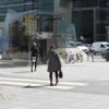 Studia podyplomowe Szczecin