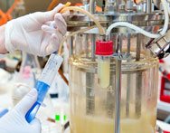 Studia biologiczne i przyrodnicze Kraków