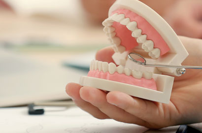 Kierunek lekarsko - dentystyczny studia na Pomorskim Uniwersytecie w Szczecinie – rekrutacja 2023/2024