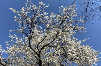 Ochrona środowiska studia w Politechnice Warszawskiej – rekrutacja 2025/2026