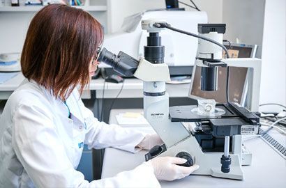 Farmacja studia na Uniwersytecie Medycznym w Łodzi – rekrutacja 2025/2026