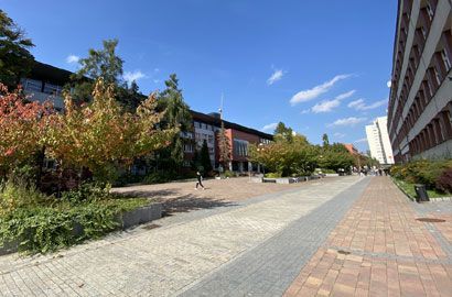 Filologia angielska studia na Uniwersytecie Śląskim w Katowicach – rekrutacja 2025/2026