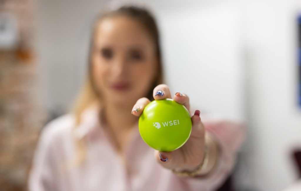 Studia Kraków - Uniwersytet DSW Ideis Kraków (dawniej Wyższa Szkoła Ekonomii i Informatyki w Krakowie)