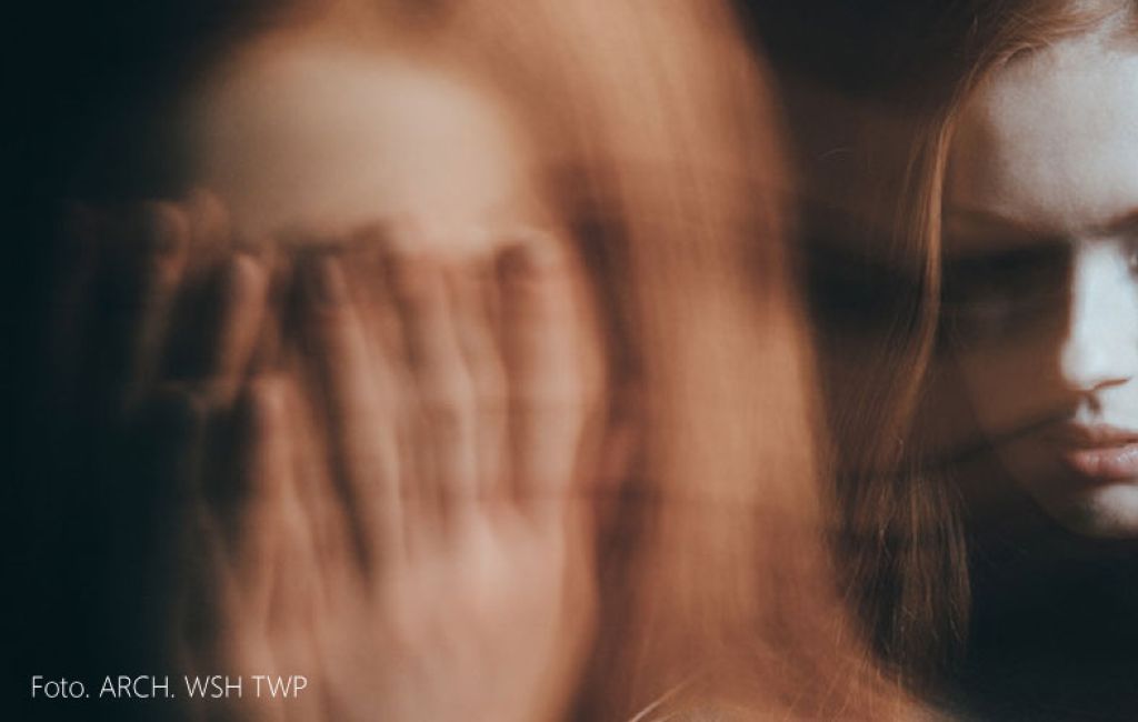 Studia Szczecin - Akademia Nauk Stosowanych Towarzystwa Wiedzy Powszechnej w Szczecinie