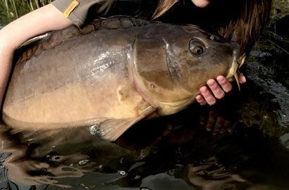 Ochrona środowiska studia na Zachodniopomorskim Uniwersytecie Technologicznym w Szczecinie – rekrutacja 2026/2027