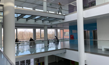 Po których studiach najłatwiej znaleźć pracę