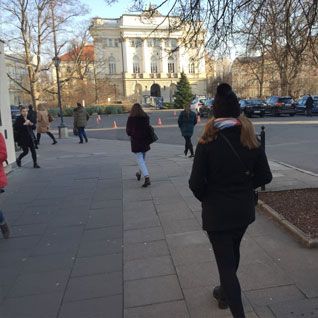 Agrotechnologia studia