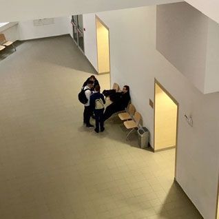 Bezpieczeństwo produktów zwierzęcych studia