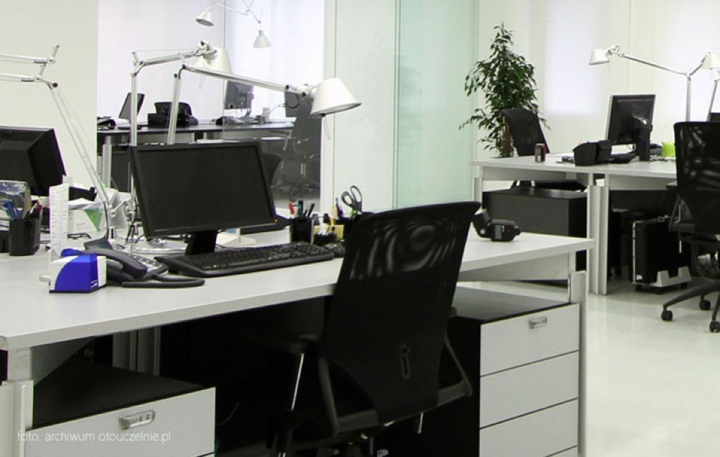 Bachelor in Management and Artificial Intelligence - Warszawa