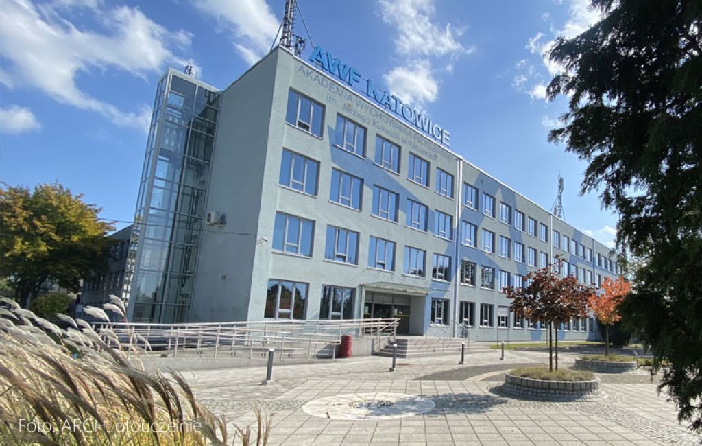 Fizjoterapia - Katowice i woj. śląskie