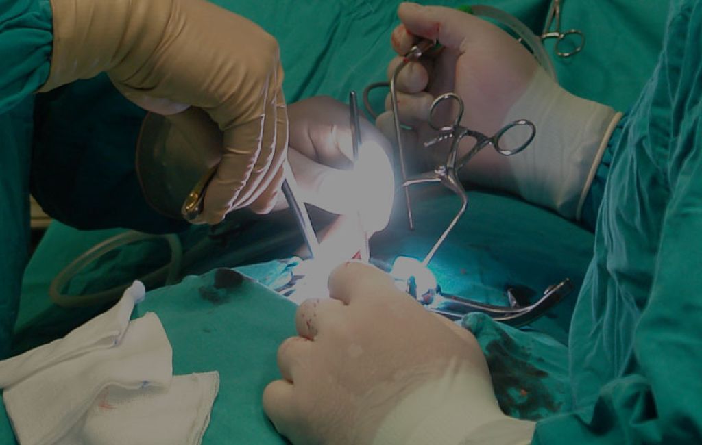 Kierunek lekarski - Lublin