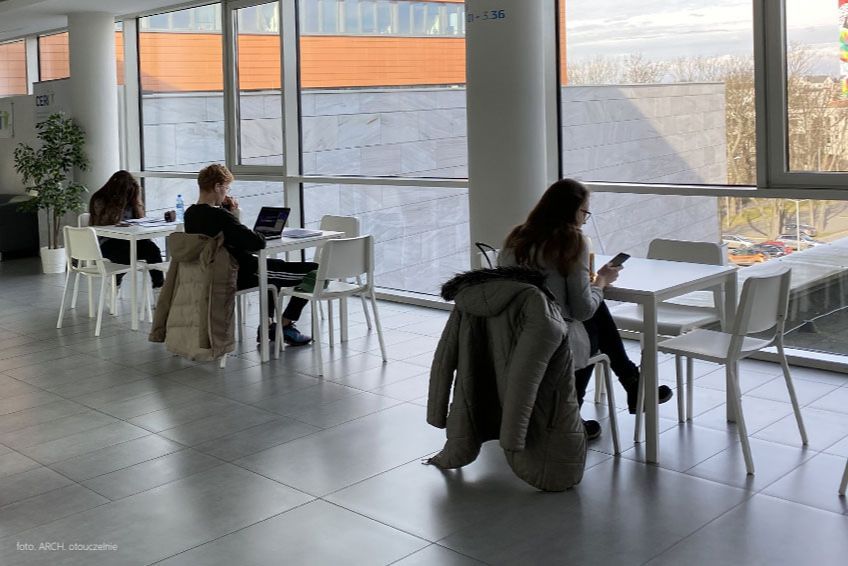 Jak wyglądają studia na kierunku zarządzanie?