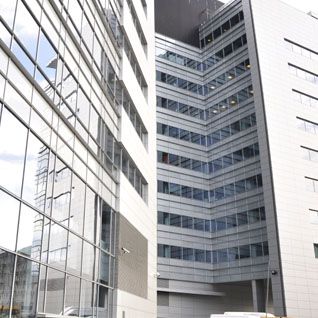 Analiza i zarządzanie w biznesie studia