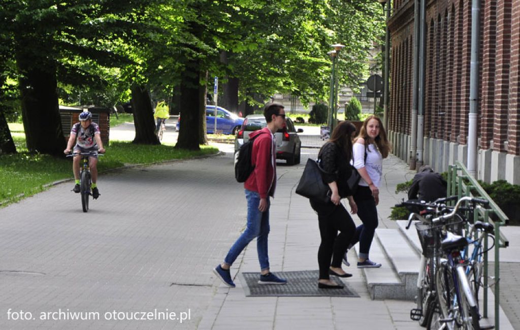 Ekonomia studia w języku angielskim - Łódź