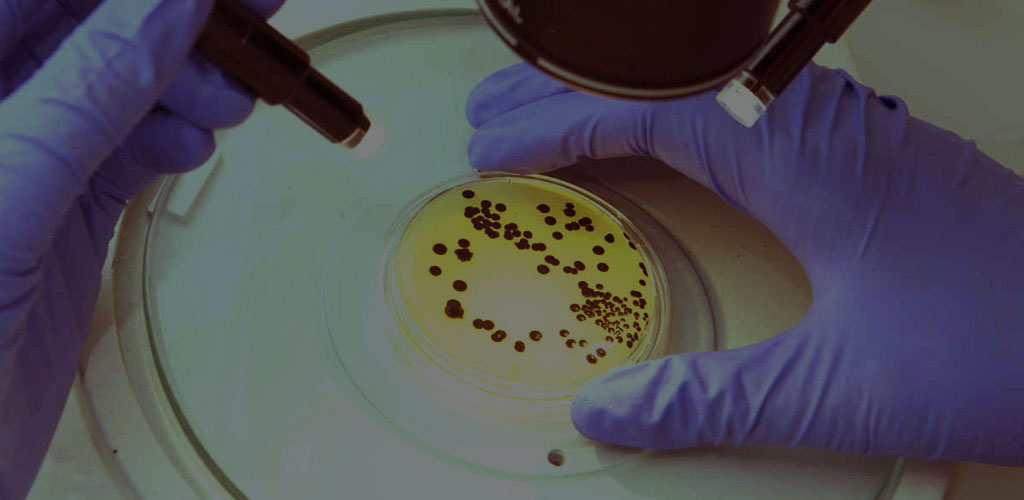 Studia biologiczne i przyrodnicze Białystok