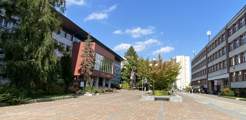 Studia zarządzanie Katowice