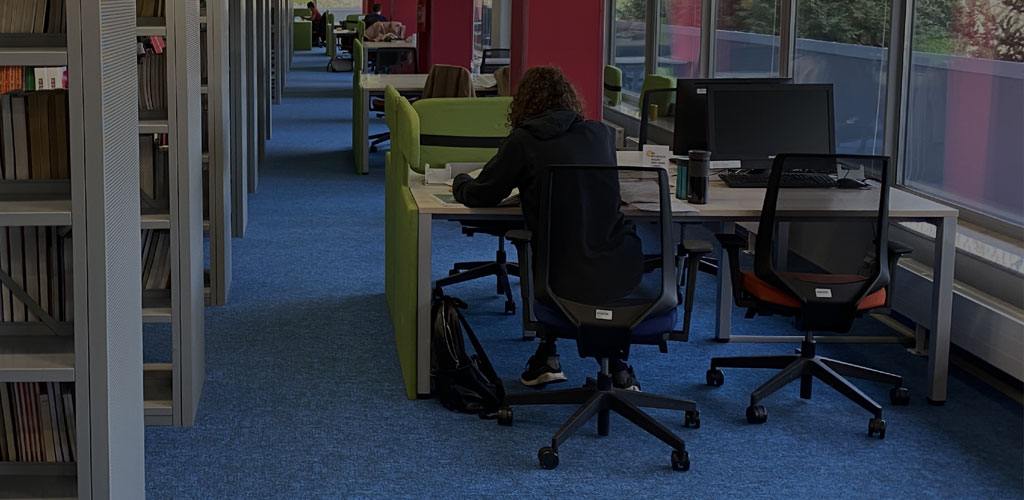 Studia online w Łodzi