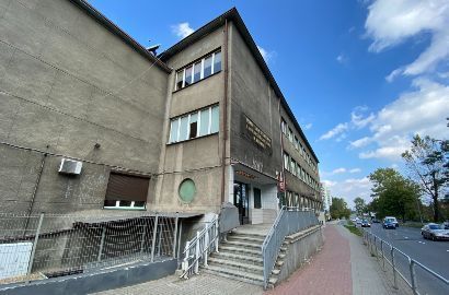 XVI Liceum Ogólnokształcące im. Dziewięciu Górników z Wujka