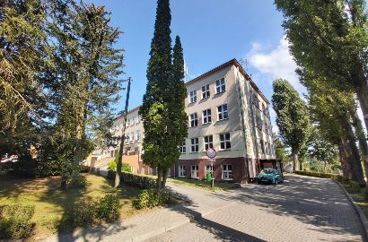 X LO Mistrzostwa Sportowego