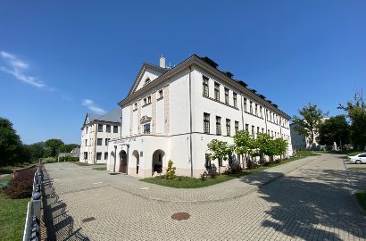 Liceum Plastyczne w Zespole Szkół Plastycznych im. Józefa Brandta