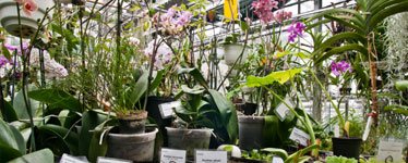 Wydział Ogrodniczy SGGW