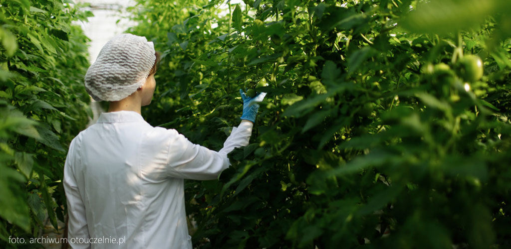 uczelnia przyrodnicza Siedlce UPH